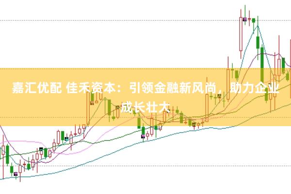 嘉汇优配 佳禾资本：引领金融新风尚，助力企业成长壮大