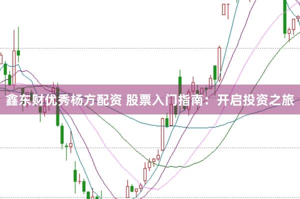 鑫东财优秀杨方配资 股票入门指南：开启投资之旅