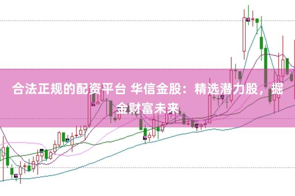 合法正规的配资平台 华信金股：精选潜力股，掘金财富未来