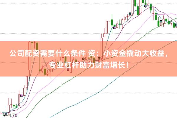 公司配资需要什么条件 资:小资金撬动大收益,专业杠杆助力财富增长!