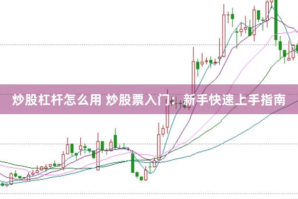 炒股杠杆怎么用 炒股票入门：新手快速上手指南
