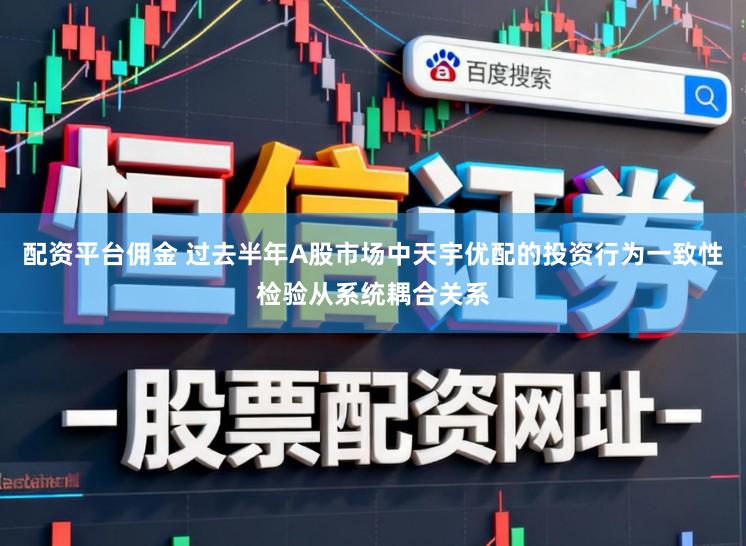 配资平台佣金 过去半年A股市场中天宇优配的投资行为一致性检验从系统耦合关系